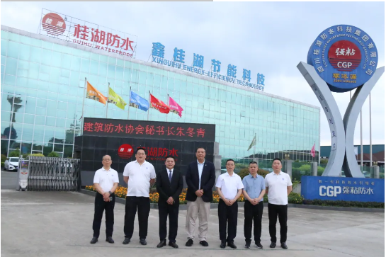 中國建筑防水協(xié)會秘書長朱冬青調(diào)研桂湖防水集團，共話防水行業(yè)發(fā)展新機遇